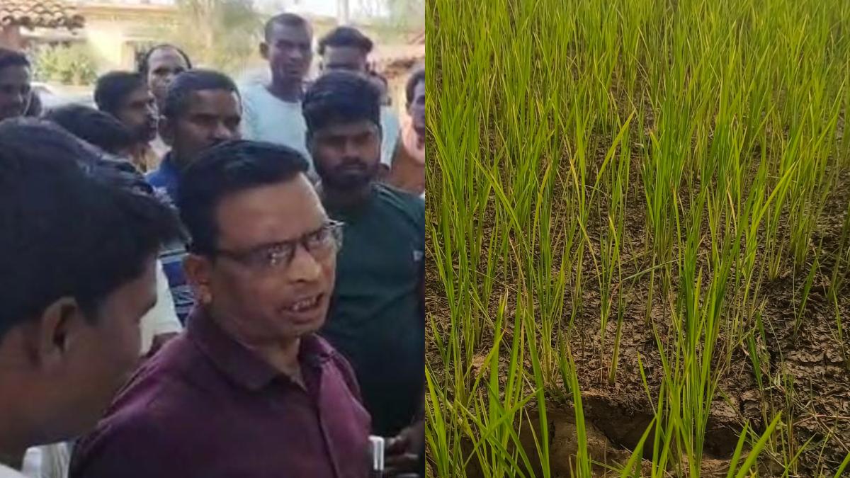 हमारी भी सुनिए सरकार : इंद्रावती में पानी की कमी, फसल की सिंचाई नहीं होने से बस्तर के किसान परेशान, कहा- पानी दो या कर्ज माफ कर दीजिए…
