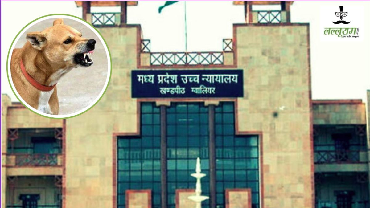 स्ट्रीट डॉग्स का आतंक: हाईकोर्ट की दहलीज पहुंचा मामला, कोर्ट ने नोटिस जारी कर पक्षकारों से मांगा जवाब  