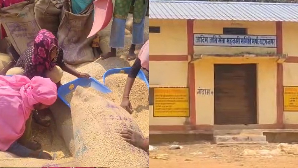 नहीं मिले मजदूर तो धान खरीदी केंद्र के प्रभारी ने स्कूली छात्राओं से कराई हमाली, देखें Video