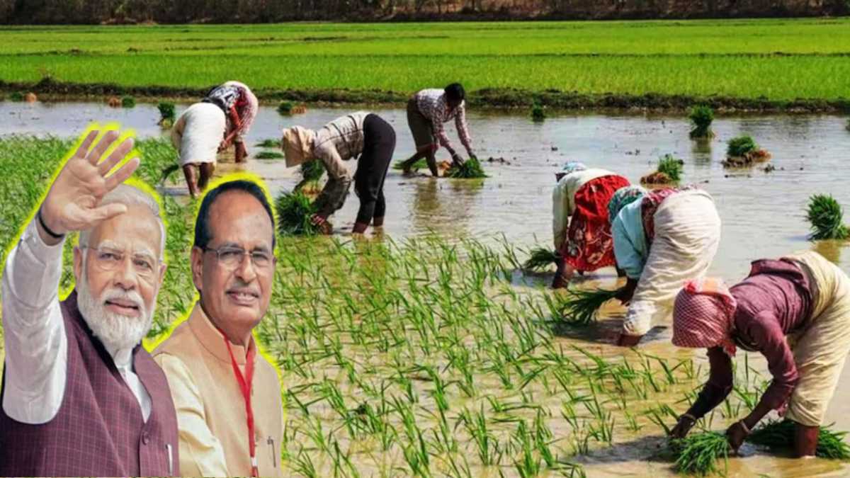 सरकार का एक और बड़ा फैसला: PSS के तहत अरहर-उड़द और मसूर की खरीद को मंजूरी, केंद्रीय मंत्री शिवराज ने मोदी सरकार को बताया किसान हितैषी