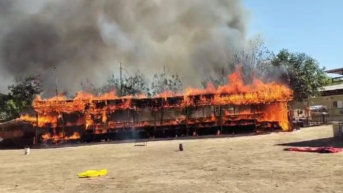 लाल टिपारा गौशाला में लगी भीषण आग: मौके पर पहुंची दमकल की टीम, आगजनी की घटना से मचा हड़कंप  