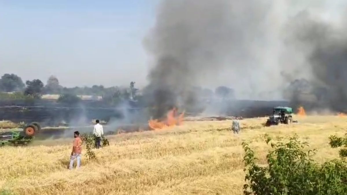 अचानक खेतों से उठा धुंआ, 40 एकड़ में खड़ी गेहूं की फसल में लगी आग, अन्नदाताओं की मेहनत हुई जलकर खाक  