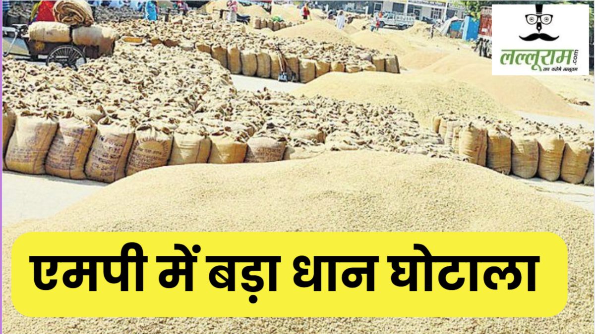 MP Paddy Scam: धान घोटाले की राशि 150 करोड़ रुपए के पार, 60 हजार क्विंटल की हेराफेरी, EOW की जांच में हुए कई बड़े खुलासे 