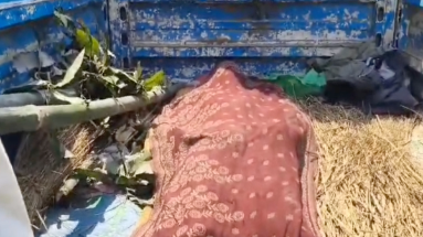 Bihar News: बेगूसराय में हुआ दर्दनाक सड़क हादसा, 2 लोगों की हुई मौत 