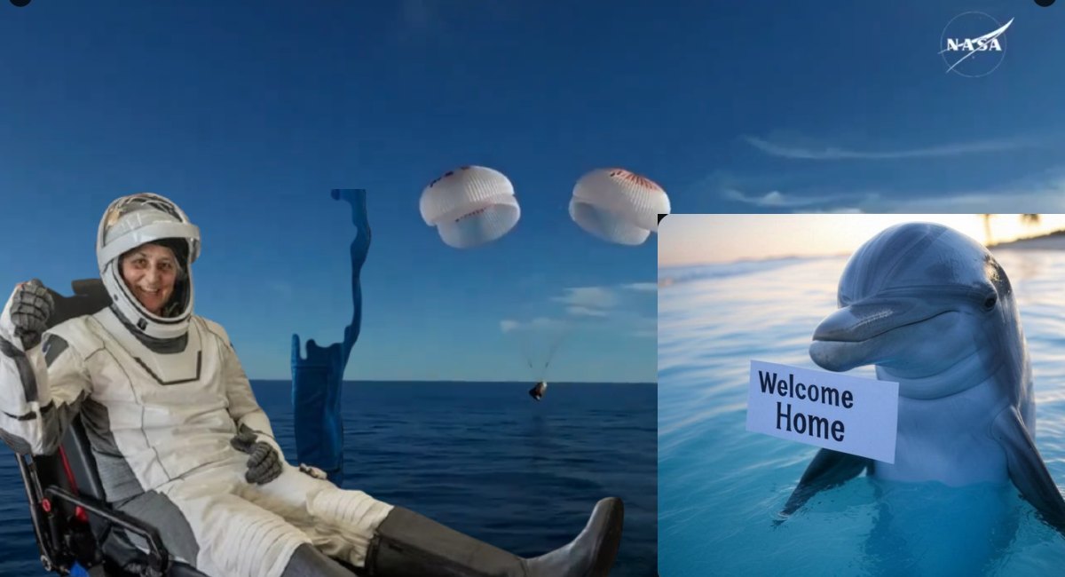 Sunita Williams Dolphins Welcome Video: सुनीता विलियम्स का कैप्सूल समंदर में लैंड करते ही डॉल्फिन्स ने किया स्वागत, आप भी देखें ये प्यारा वीडियो