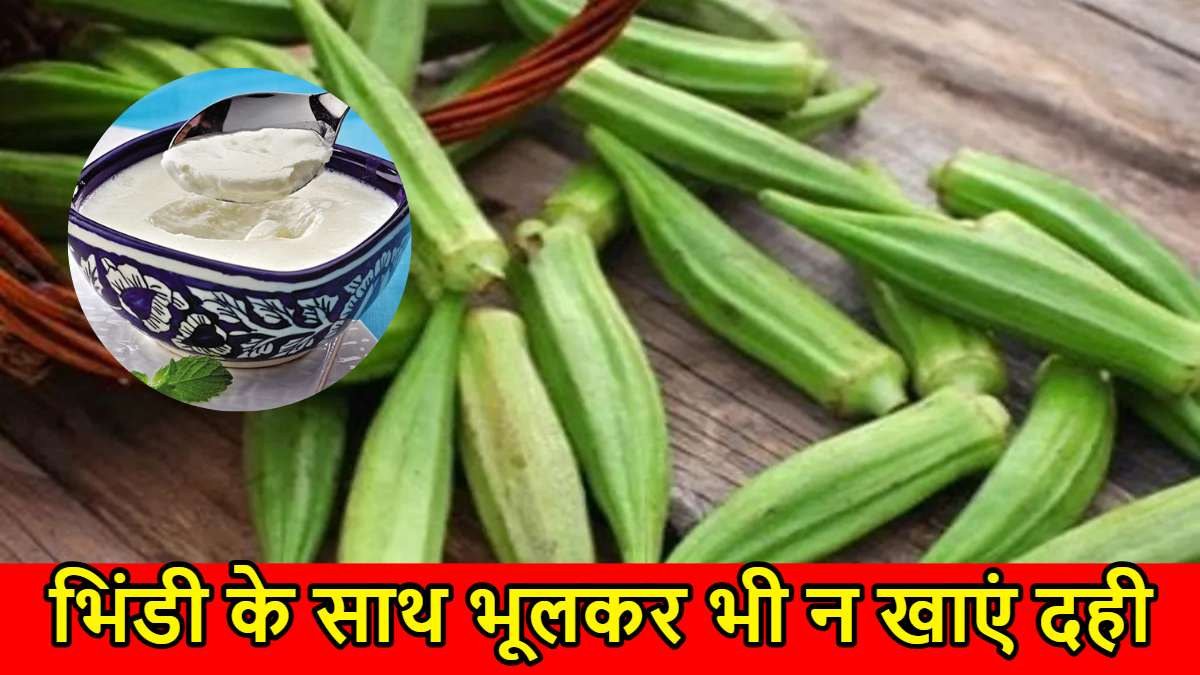 Avoid Eating Ladyfinger With Curd: भिंडी के साथ भूलकर भी न खाएं दही, पड़ सकता है नकारात्मक प्रभाव…
