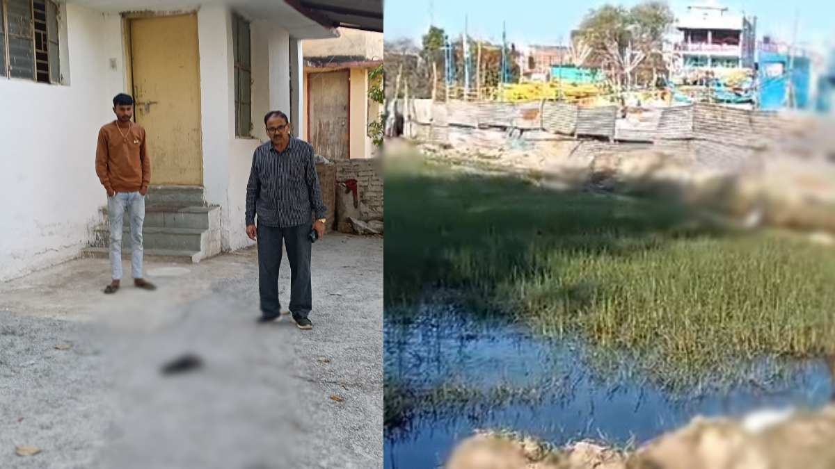MP में तीन दिन में 50 पक्षियों की मौत: तहसीलदार आवास के पास भी मृत मिले कौए-बगुले, दो पक्षी का पीएम कराकर जांच के लिए भेजे लैब