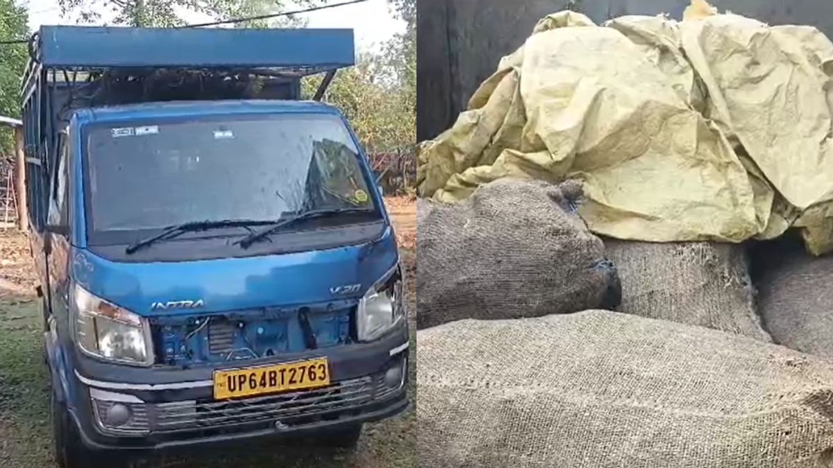 CG News : कोयला चोरी कर भाग रहे बदमाशों ने पुलिस की गाड़ी को मारी टक्कर, बाल-बाल बचे पुलिसकर्मी, आरोपी गिरफ्तार 