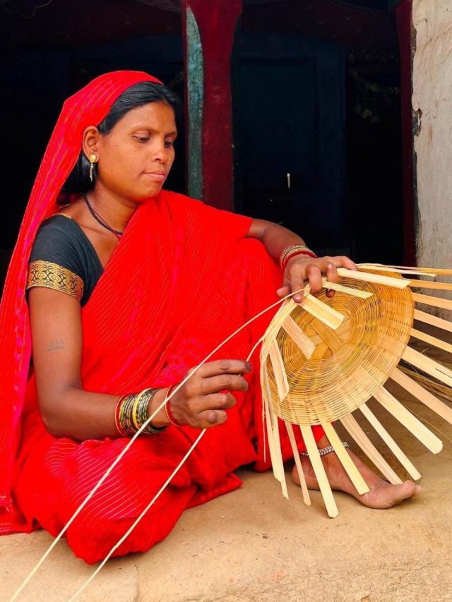 1000 रुपए का कमाल : जानिए वन ग्राम की ममता की कैसे बदली जिंदगी