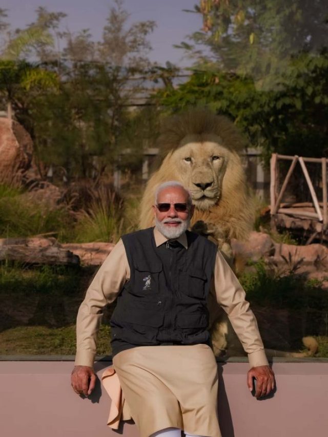 PM मोदी ने वनतारा वाइल्डलाइफ का किया उद्घाटन, देखिये खूबसूरत तस्वीरें