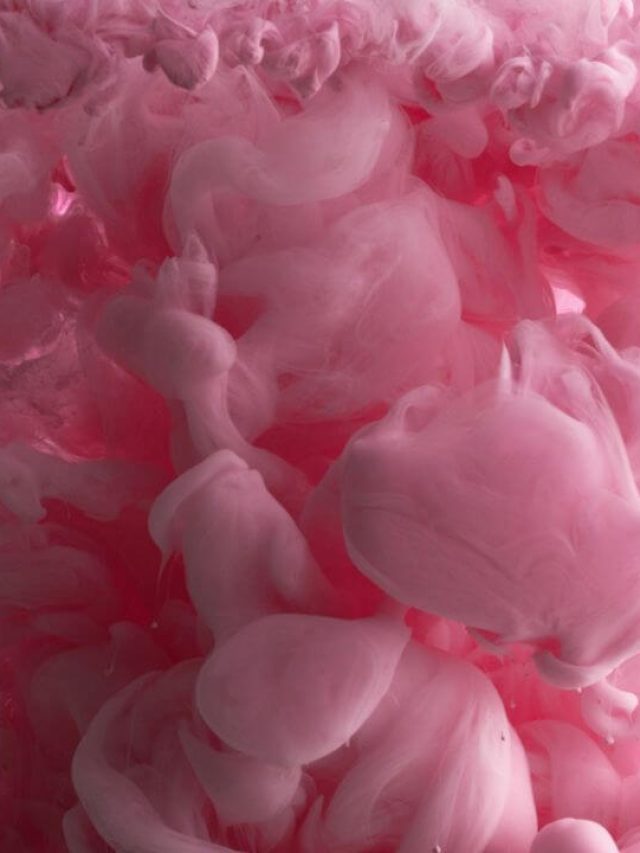 Women’s Day: कभी पुरुष करते थे पिंक कलर का इस्तेमाल