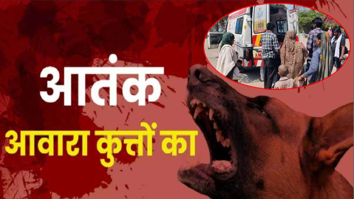 कुत्तों के एक झुंड का आतंक: अब तक 12 लोगों पर किया जानलेवा हमला, दहशत में बच्चों ने छोड़ा स्कूल, ग्रामीणों ने खेत में जाना किया बंद