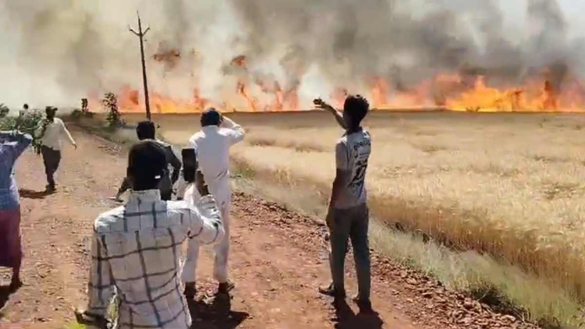 अन्नदाता की मेहनत पर लगी आग: मिनटों में गेहूं की फसल जलकर हुई राख, समय पर नहीं पहुंची दमकल