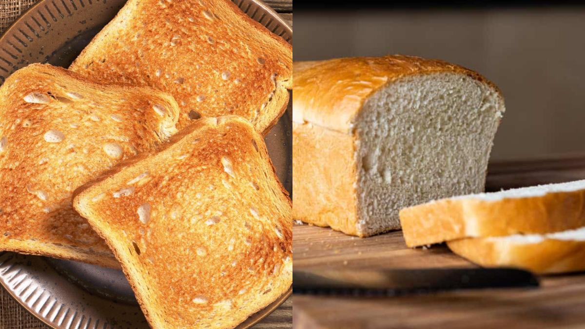 Health Tips : टोस्टेड ब्रेड या सादा ब्रेड, सेहत के लिए कौन सा बेहतर