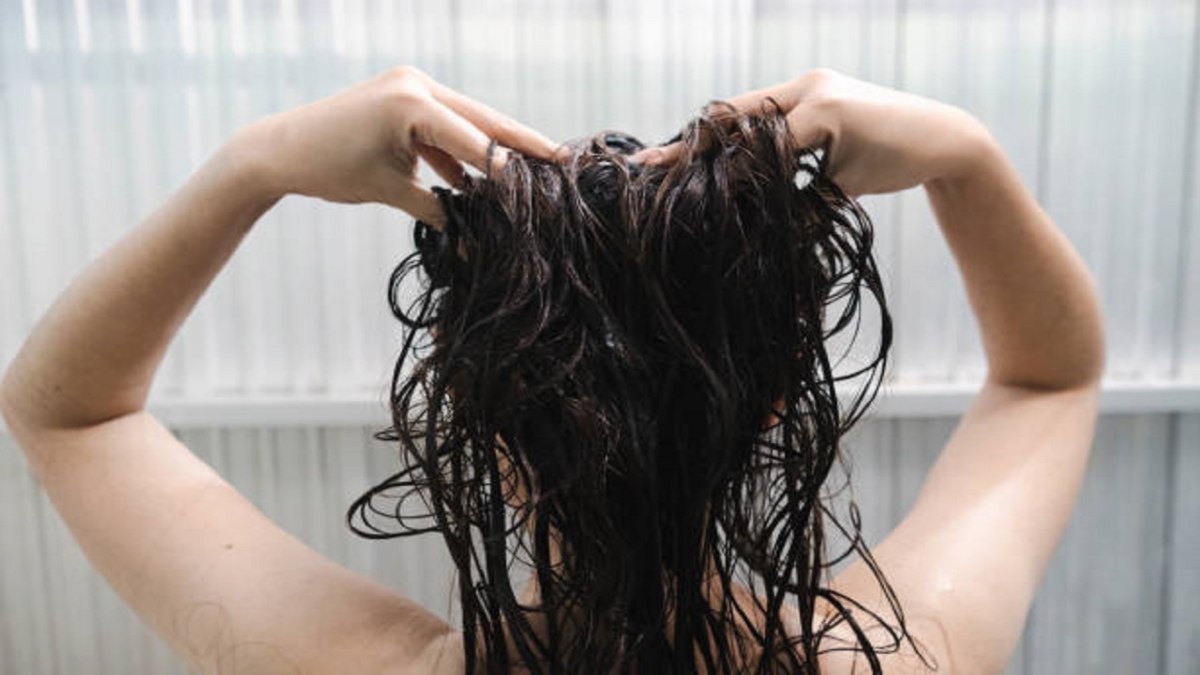 Hair Care Tips: बालों में बन जाती है जटाएं, ऐसे कीजिए बालों के केयर…