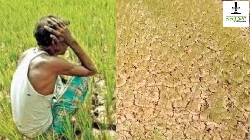 बिजली विभाग की लापरवाही से हजारों एकड़ में लगी फसल बर्बाद, हताश-परेशान किसान…