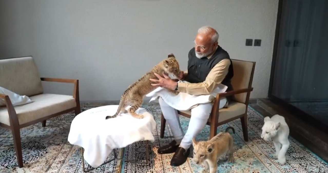 गोद में बैठाया और दूध पिलाया, शेर के बच्चों को प्रधानमंत्री का प्यार, शावकों को दुलारते नजर आए PM मोदी, Video