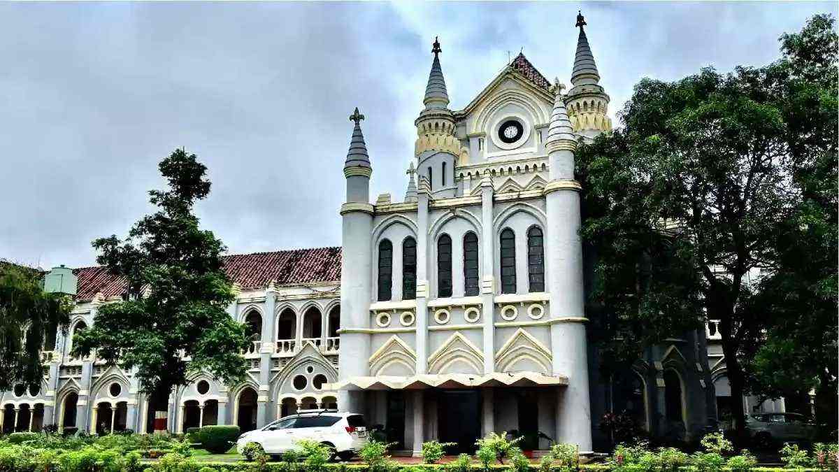 ‘पुष्पा’ फिल्म की तरह MP में भी सेम कंडीशन… तस्कर, विधायक और अफसर मिलकर चलाते हैं सिंडीकेट, जंगलों की कटाई को लेकर HC की बड़ी टिप्पणी