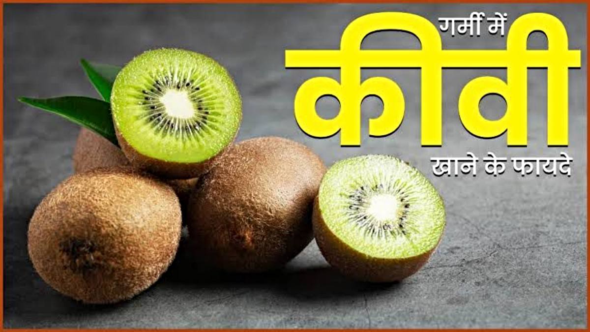 Kiwi Benefits In Summer: गर्मियों में देता है ताज़गी और शरीर के लिए फायदेमंद है कीवी, जानें इसके फायदे…