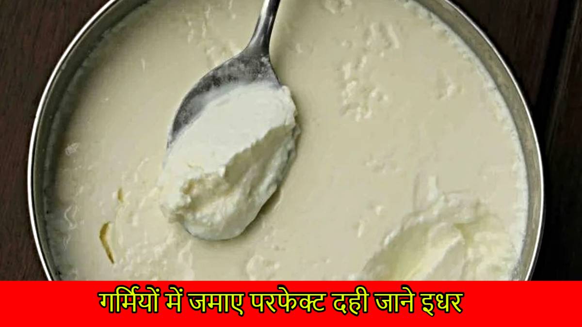 Curd Storage Tips: अब गर्मी में भी जमेगी परफेक्ट दही, नहीं होगा खट्टा, बस फॉलो करें ये टिप्स…