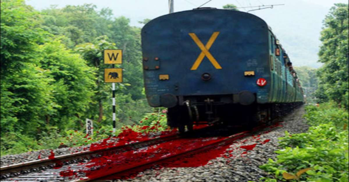 मां, मासूम और मौत का खेलः महिला ने बेटी के साथ ट्रेन के आगे कूदकर दी जान, जानिए खौफनाक कदम उठाने की वजह…