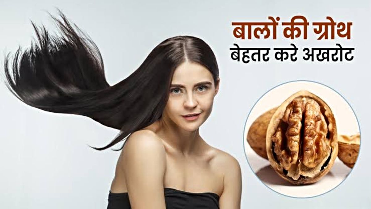 Walnut Oil for Hair: बालों के लिए अखरोट का तेल बेहद फायदेमंद, एक बार इस्तेमाल करके देखें…