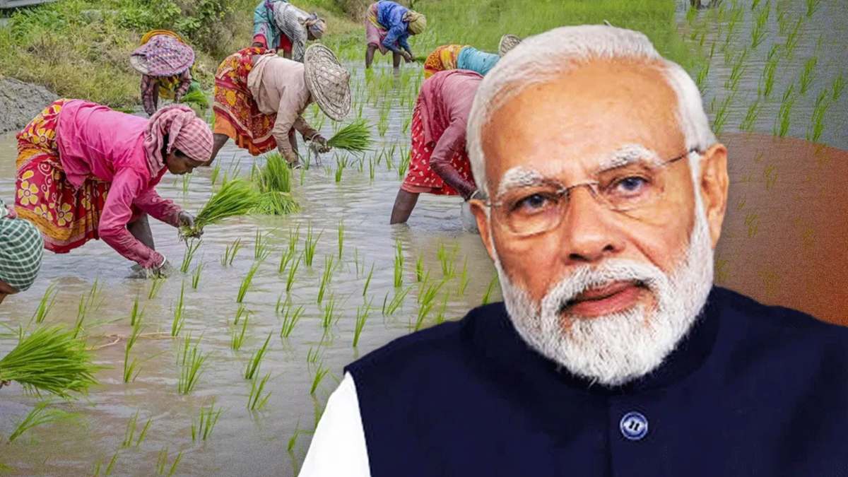 मोदी सरकार का किसानों को तोहफा: कैबिनेट में लिए गए दो बड़े फैसले, सस्ती होंगी ये चीजें…