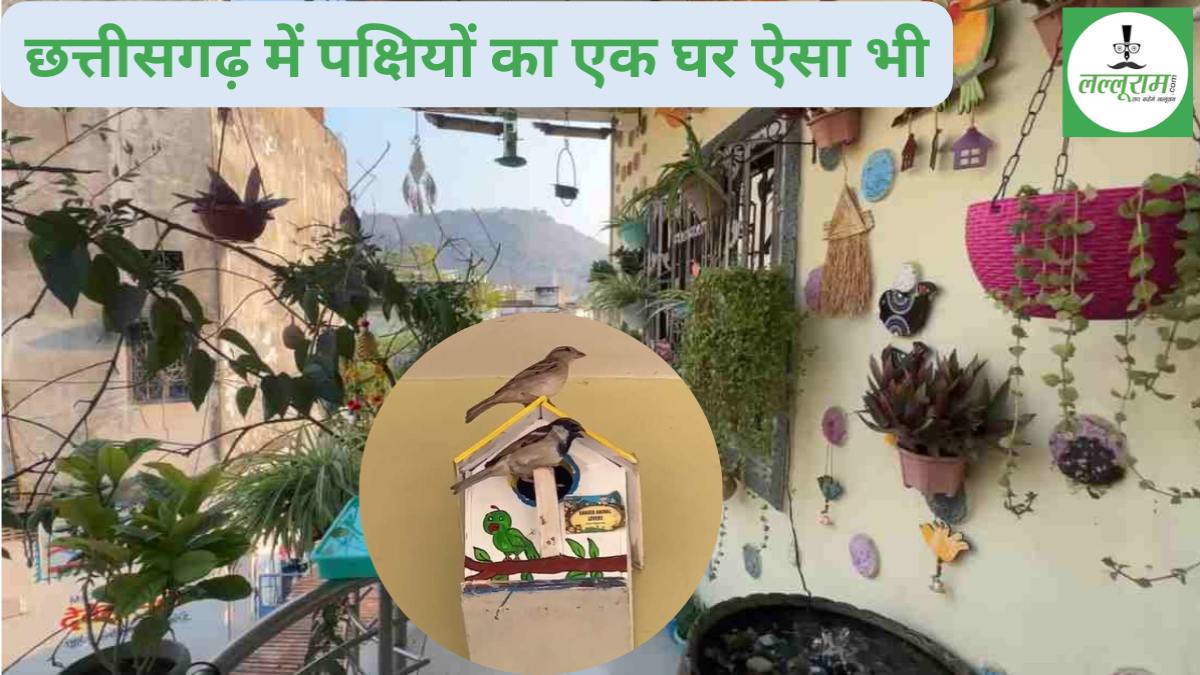 छत्तीसगढ़ में एक घर ऐसा भी…पशु-पक्षियों से ऐसा लगाव कि दो मंजिले घर को बनाया चिड़ियाघर, बेजुबान बने फैमिली मेंबर, रोज रिक्शे में घूमकर कुत्तों-मवेशियों को भी परोसती है भोजन…पढ़िए स्मिता परिवार की स्टोरी…