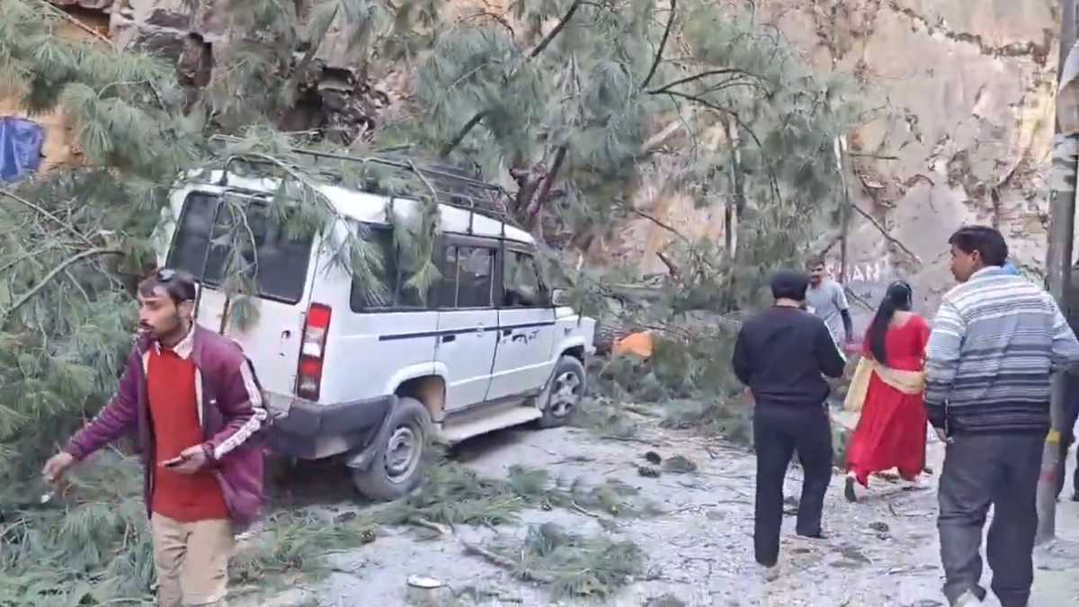 कुल्लू में मणिकर्ण गुरुद्वारे के पास गाड़ियों पर गिरा पेड़, 6 लोगों की मौके पर दर्दनाक मौत, मलबे में कई लोग दबे