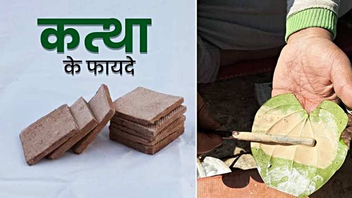 Health Benefits of Kattha: पान में लगने वाला कत्था होता है बहुत फायदेमंद, आयुर्वेद में माना गया है औषधि…
