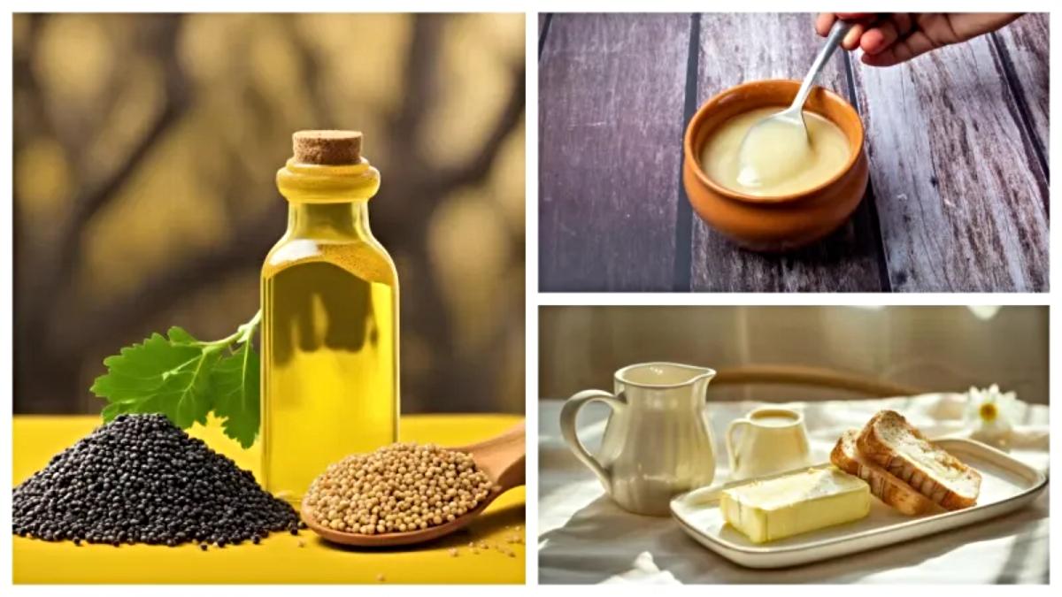 Oil, Butter Vs Ghee: बटर, घी या तेल? इन तीनों में से क्या है सेहत के लिए सबसे खतरनाक…
