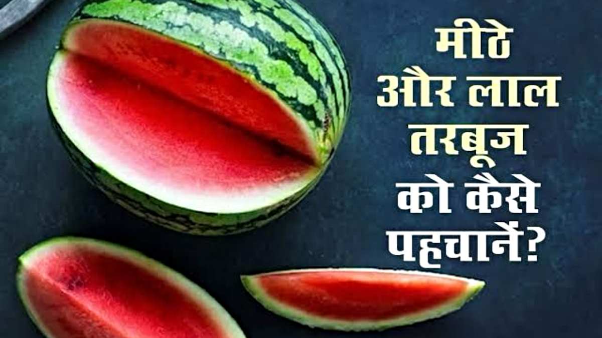 WAYS TO CHECK WATERMELON: तरबूज मीठा है या नहीं? जानने के लिए अपनाएं ये ट्रिक्स, कभी नहीं खाएंगे धोखा…