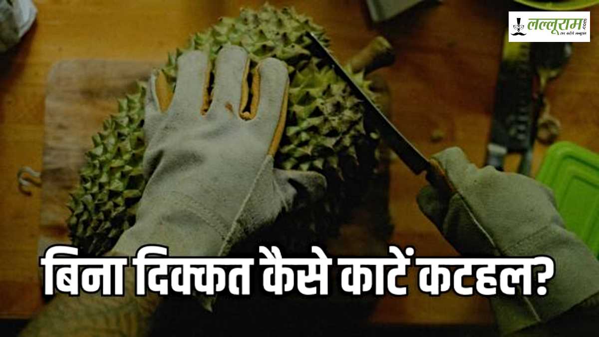 How to cut Jackfruit Easily: आपको भी पसंद है कटहल, लेकिन उसके चिपचिपेपन के कारण नहीं बनाते? तो इन टिप्स को करें फॉलो…