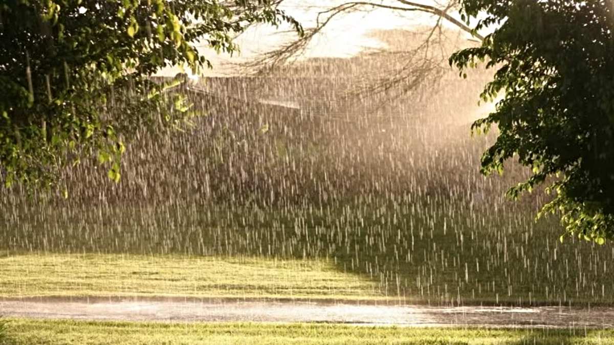 Punjab Weather Update: तापमान 30 डिग्री पार फिर भी बारिश की संभावना, मौसम विभाग ने जारी किया अलर्ट…