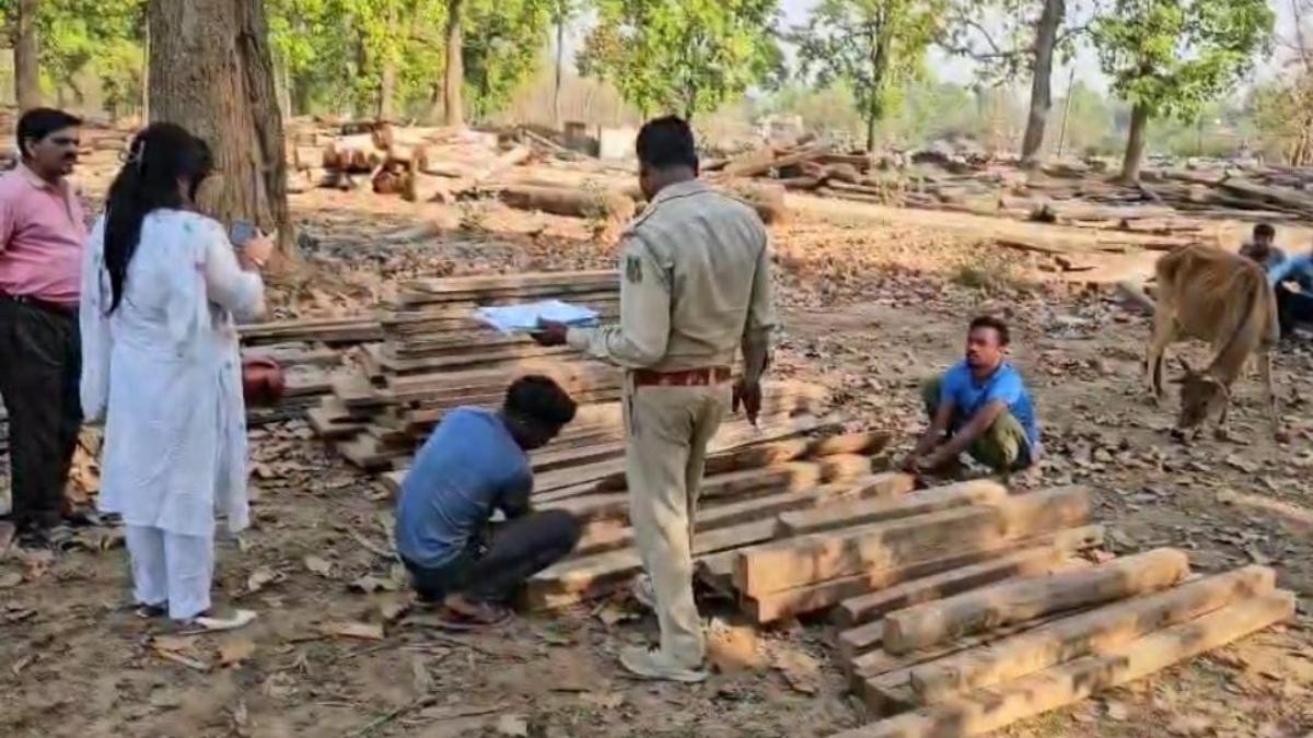 CG NEWS: अंबिकापुर में वन विभाग की रेड, 4 लाख की अवैध सागौन लकड़ी जब्त