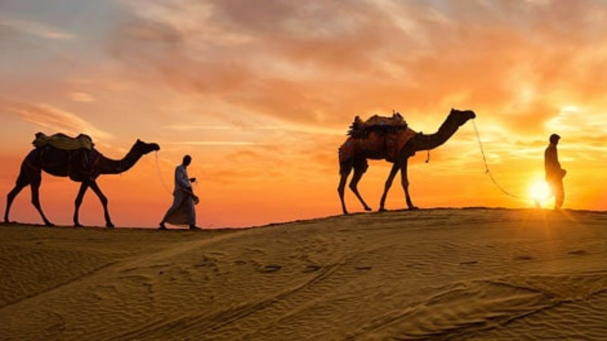 Rajsthan Weather: प्रदेश में सर्द हवाओं ने बढ़ाई ठिठुरन, सामान्य से 7 डिग्री गिरा अधिकतम तापमान, जानिए कब बदलेगा मौसम…