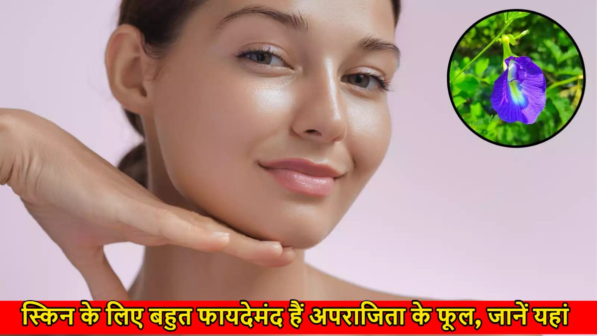 Skin Benefits of Aparajita Flower: स्किन के लिए बहुत फायदेमंद हैं अपराजिता के फूल, यहां जानें इसे लगाने के फायदे…