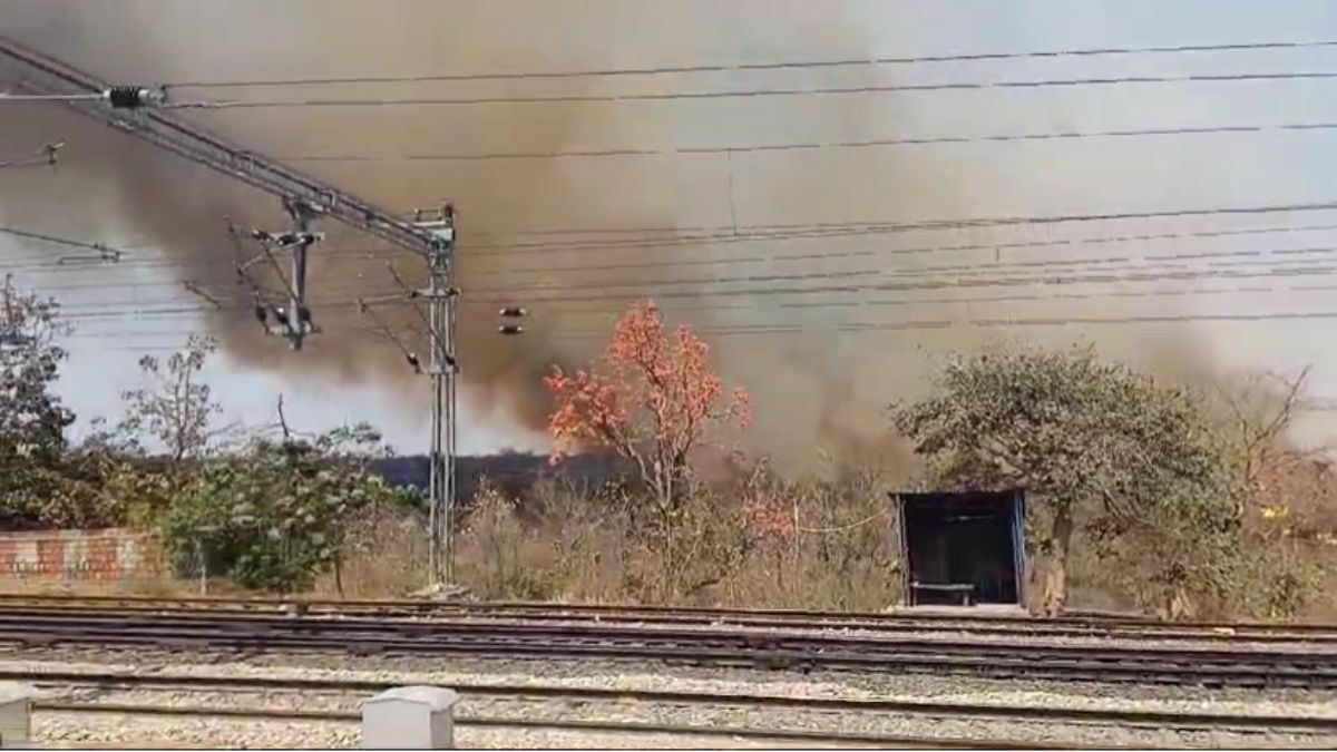 आग ने रोका ट्रेन का रास्ता: गोंदिया बरौनी और जनता एक्सप्रेस देर तक खड़ी रही, स्टेशन के समीप पहुंची थी जंगल की आग