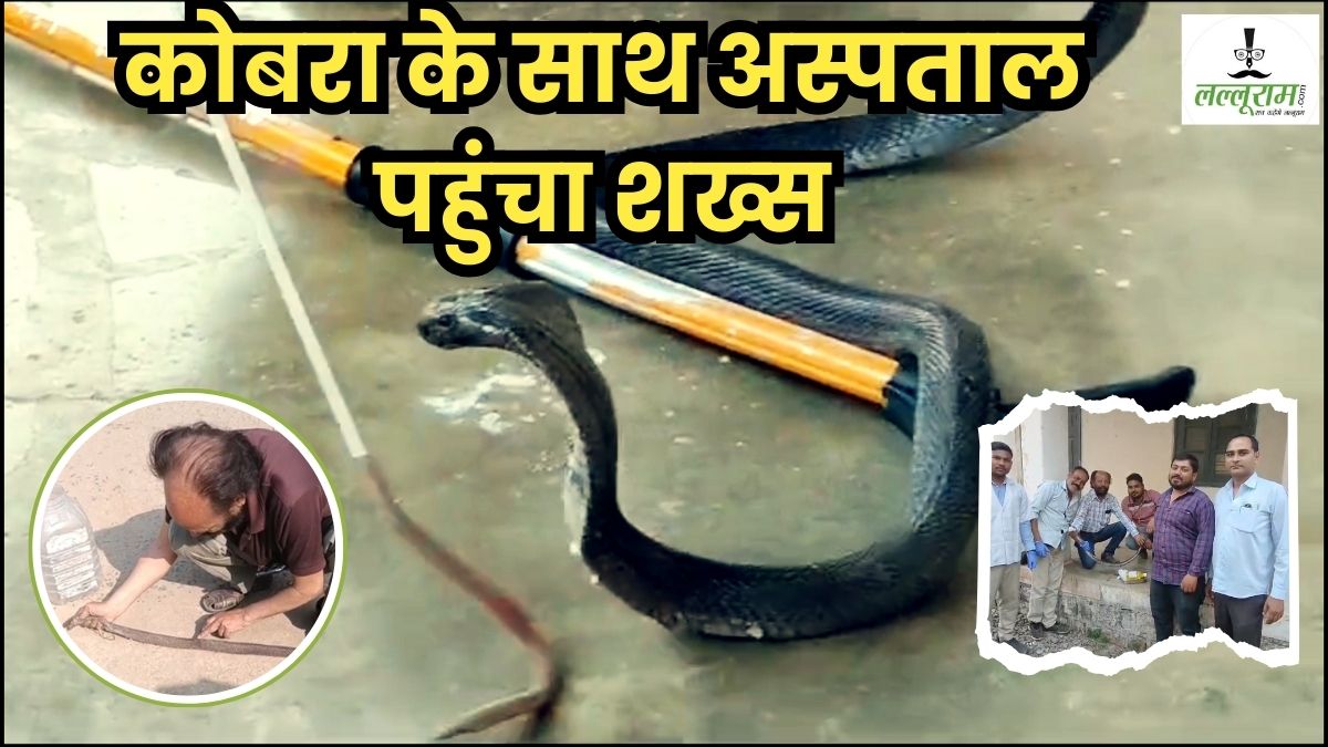दर्द से तड़प रहा था कोबरा: शख्स लेकर पहुंच गया हॉस्पिटल, 7 टांके लगाने के बाद लोगों ने सांप के साथ खिंचवाई फोटो