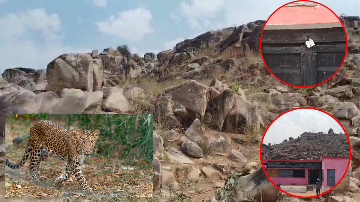 तीन तेंदुए से गांव में दहशत: घरों में ताला लगा खेत में रहने को मजबूर ग्रामीण, बच्चों ने स्कूल जाना किया बंद, अब तक बछड़े और बंदर का किया शिकार