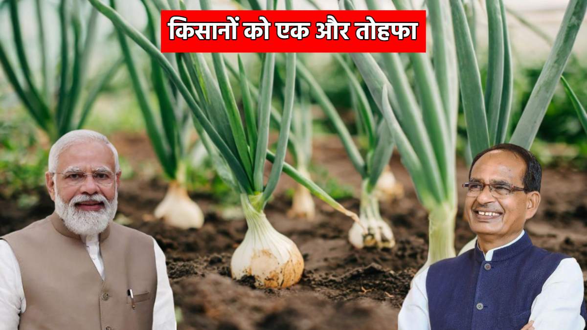 मोदी सरकार का बड़ा फैसला: अब प्याज के निर्यात पर नहीं लगेगी एक्सपोर्ट ड्यूटी, केंद्रीय कृषि मंत्री शिवराज सिंह ने दी जानकारी