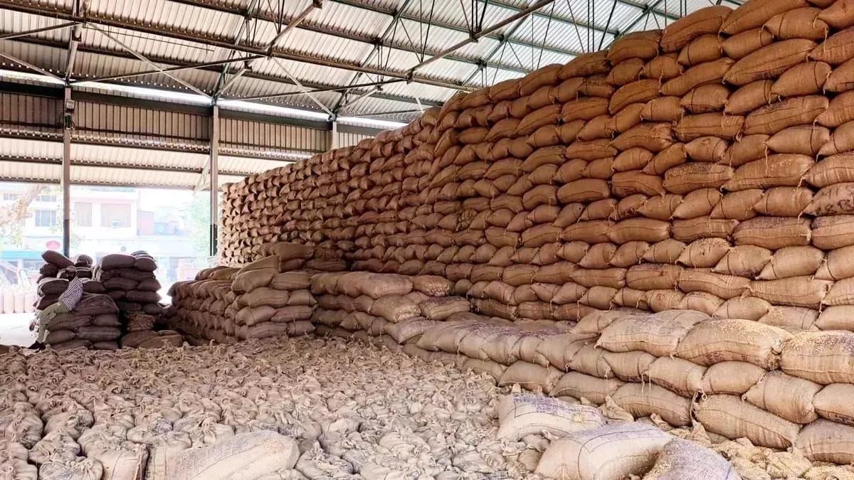 केंद्र सरकार ने पंजाब को दी बड़ी राहत …  15 लाख टन धान से इथनॉल बनाने की दी मंजूरी