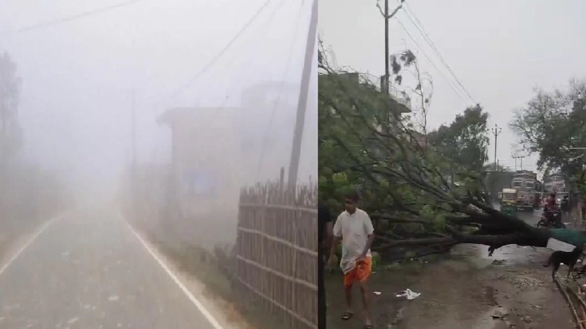 पटना में आंधी-तूफान का कहर, बिजली के पोल और पेड़ गिरने से मनेर की बिजली-पानी बंद, फसलों को भी पहुंचा नुकसान
