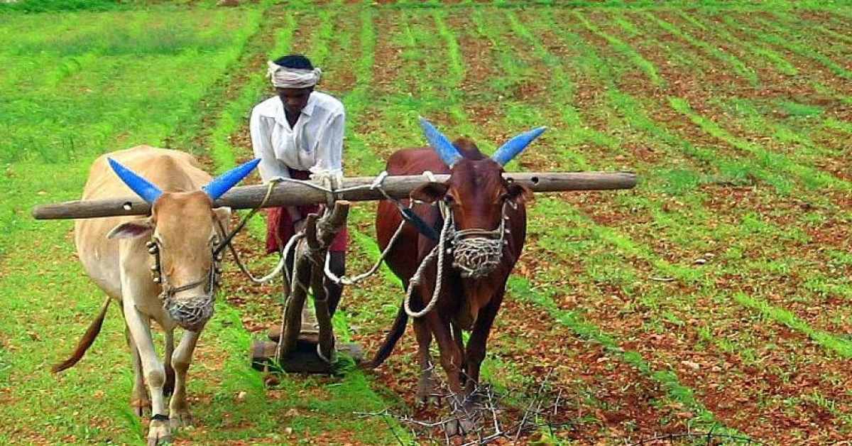यूपी के किसानों की बल्ले-बल्ले ! अब घर बैठे बेच सकेंगे फसल, एक क्लिक में जाने सारे डिटेल्स