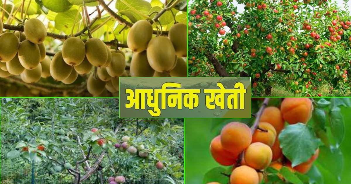 आप भी करना चाहते है आधुनिक खेती, तो सरकार की इन योजनाओं का उठाए लाभ, सस्ते में मिलेगी हर चीज