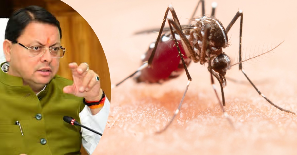 स्वास्थ्य विभाग पूरी तरह अलर्ट, CM धामी ने डेंगू की रोकथाम के लिए दिए निर्देश, संक्रमण को रोकने के लिए बनाया मास्टर प्लान