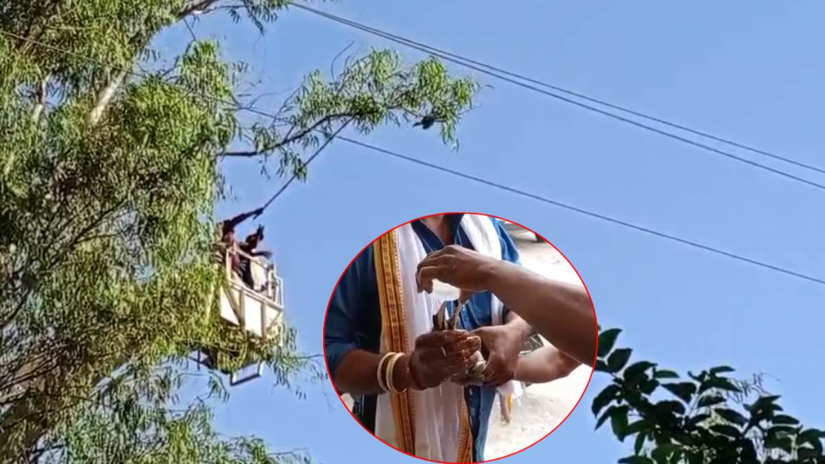 मांझे में फंसी एक परिंदे की ‘जान’: 12 घंटे फड़फड़ाता रहा बेजुबान, देवदूत बनकर पहुंचे लोगों ने फिर ऐसे बचाई जिंदगी