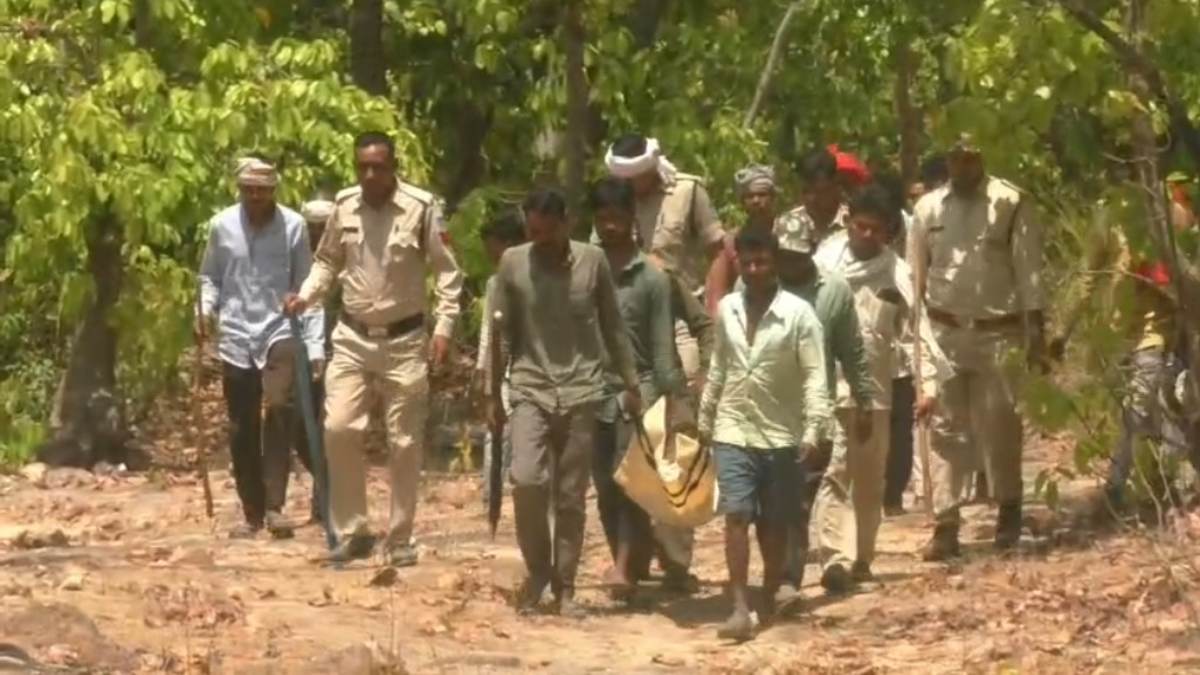 बांधवगढ़ टाइगर रिजर्व: महुआ बीनने जंगल में गए 12 वर्षीय बालक को उठा ले गया बाघ, नाले में मिला खून से लथपथ शव