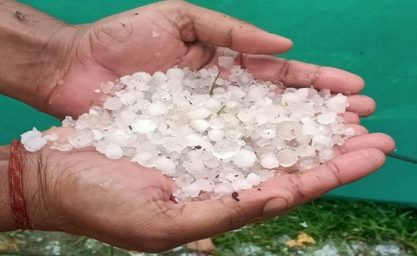 छत्तीसगढ़ बना ‘शिमला’, जमकर गिरे ओले… देंखे Video