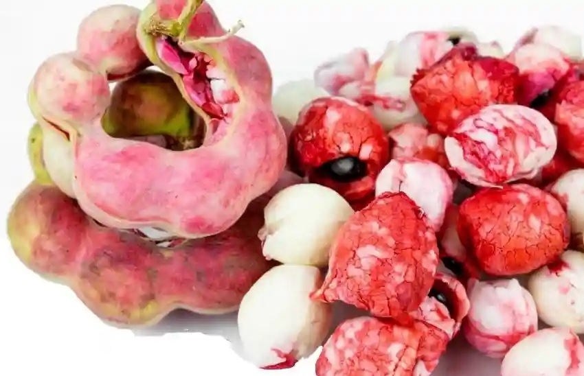 Wild Tamarind: जंगली इमली खाएंगे तो नहीं जाना पड़ेगा डॉक्टर के पास